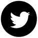 Twitetr icon