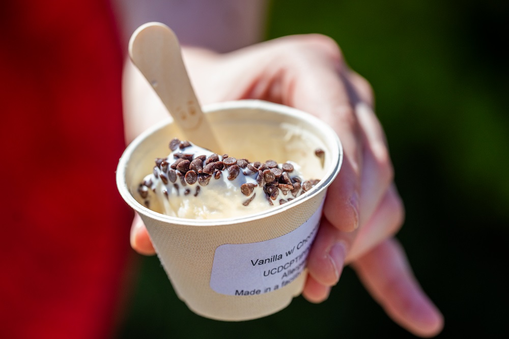 Vanilla ice cream with chocolate chips