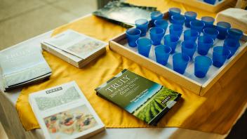 Olive oil tasting cups