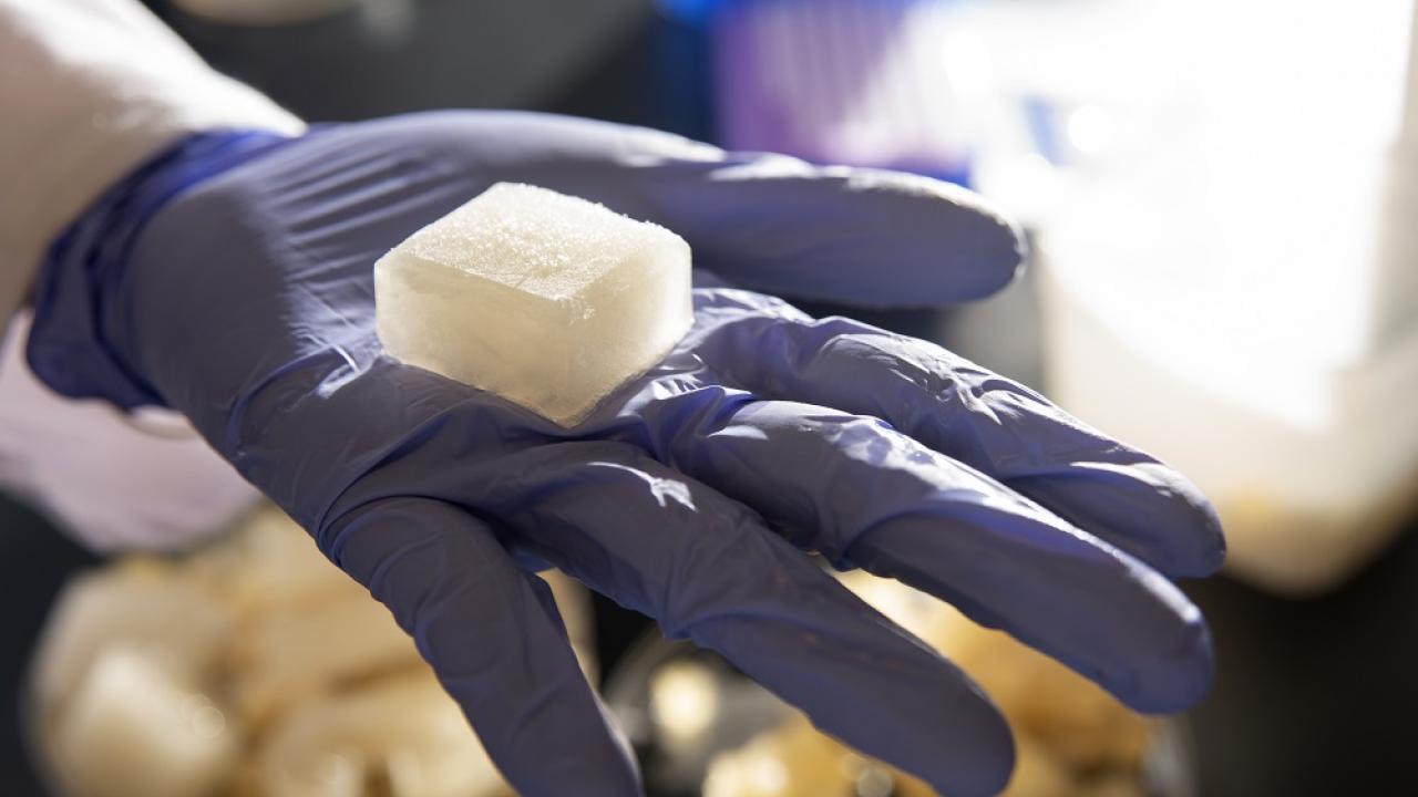 Jelly Ice Cube, photo credit Gregory Urquiaga/UC Davis