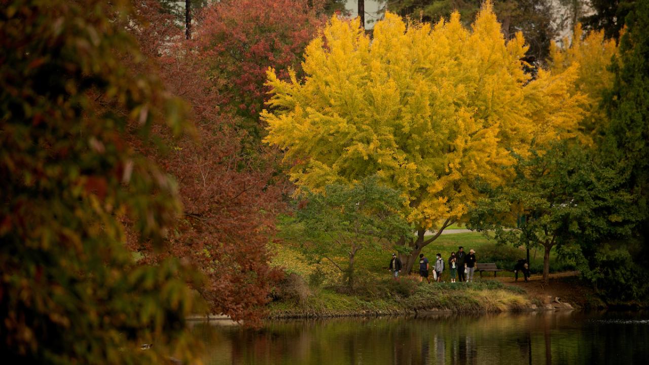 Fall colored trees around a pond with students
