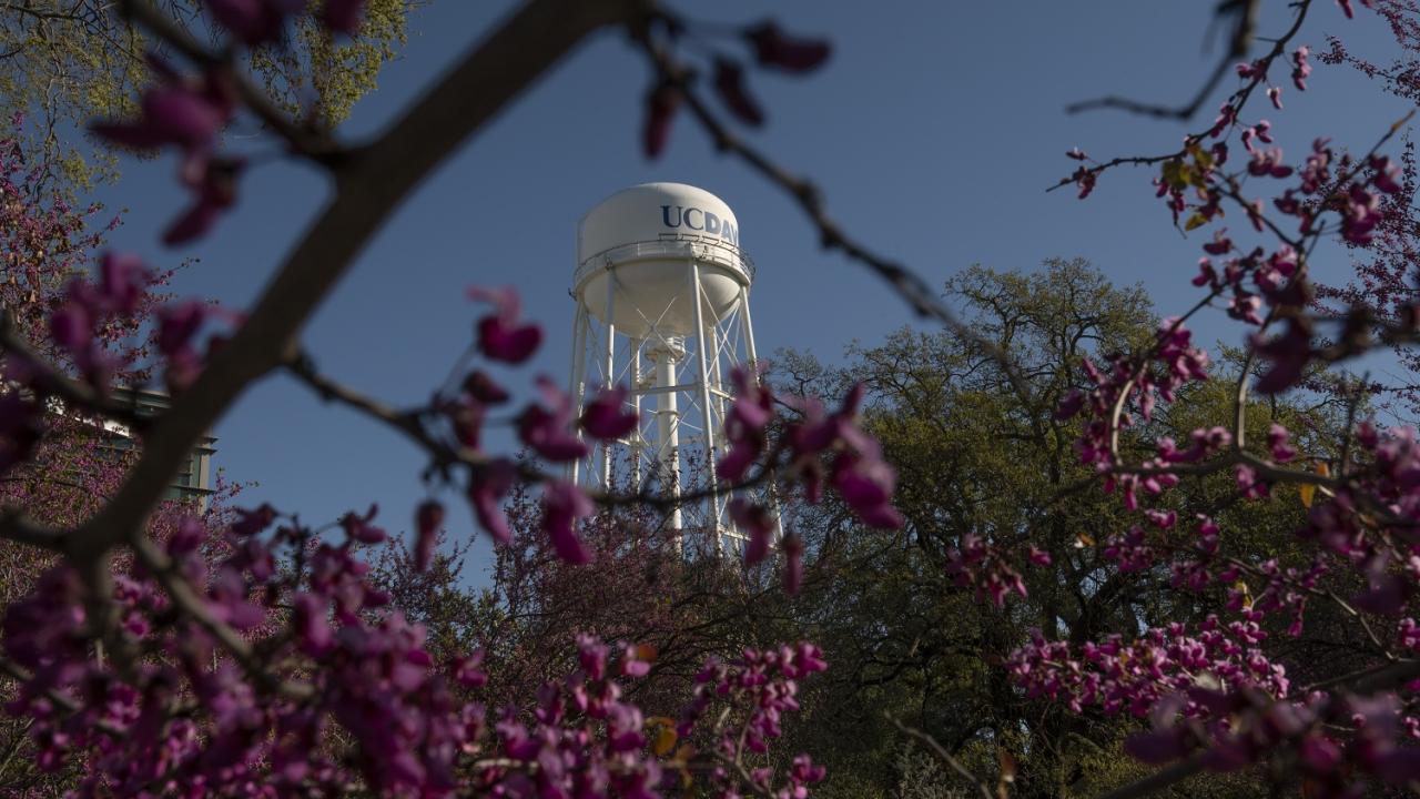 Watertower in spring
