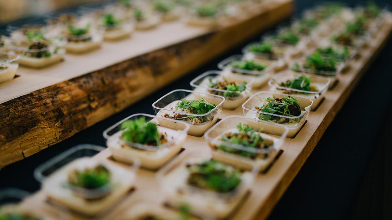 Appetizers
