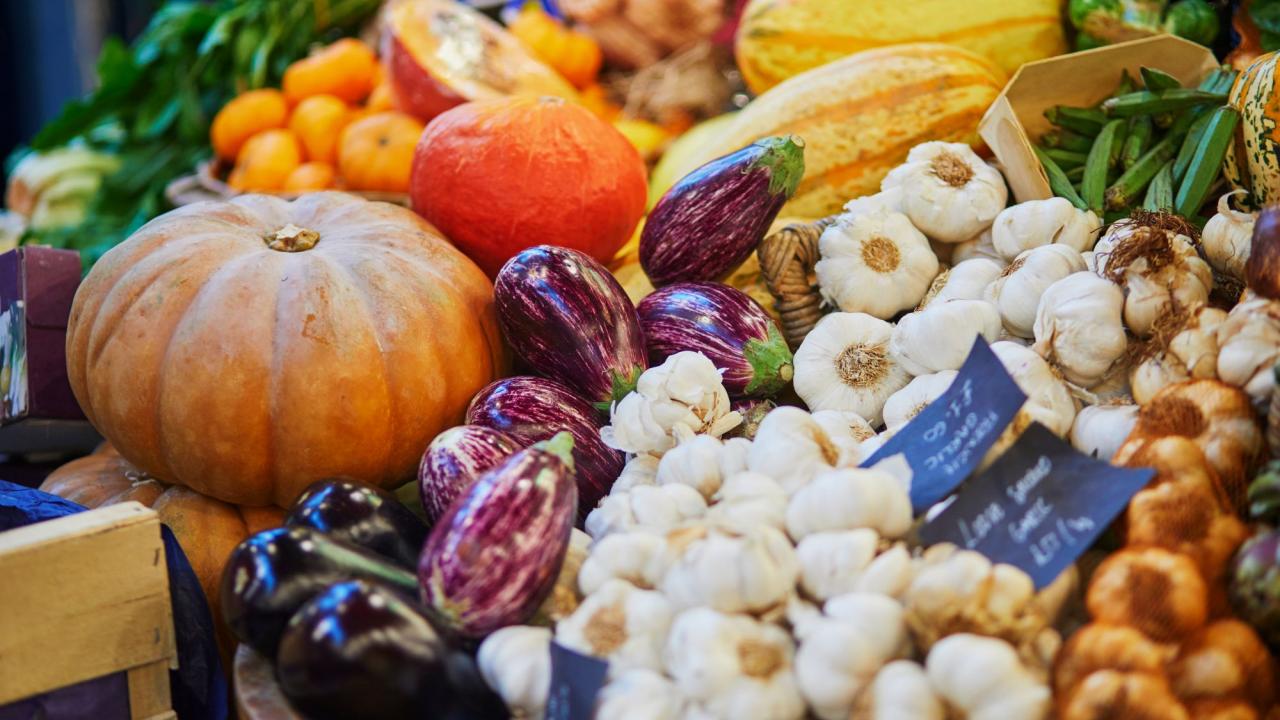 Colorful farmers market display of pumpkins, eggplants, squash, garlic and citrus