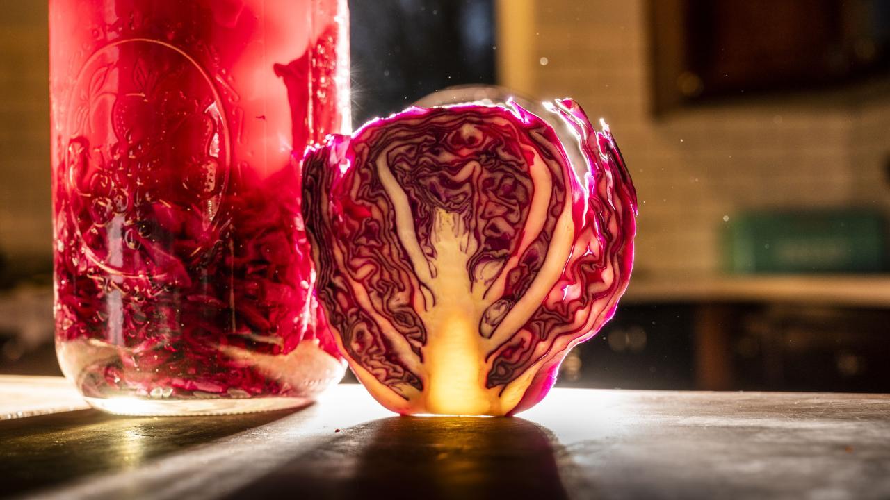 A new UC Davis study shows that having fermented food like sauerkraut could be good for gut health. Photo by: Hector Amezcua, UC Davis