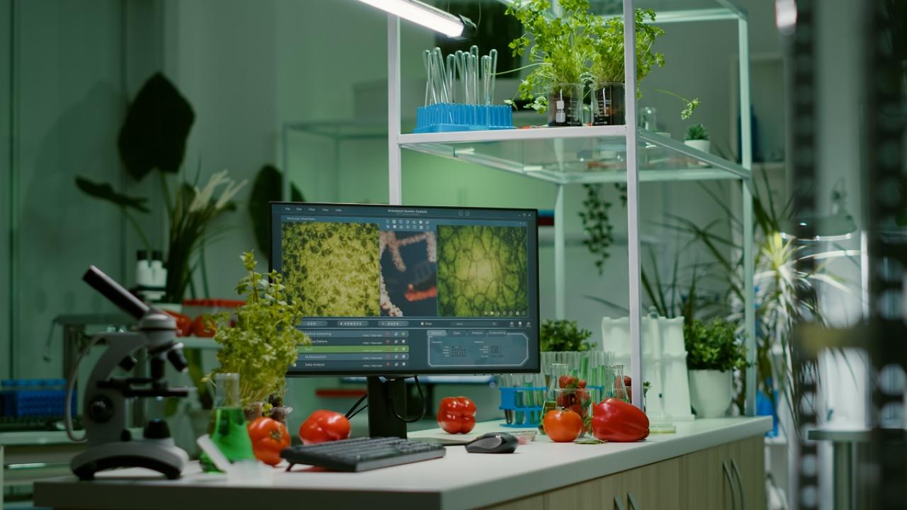 Lab bench with microscope, monitor, vegetables and test tubes