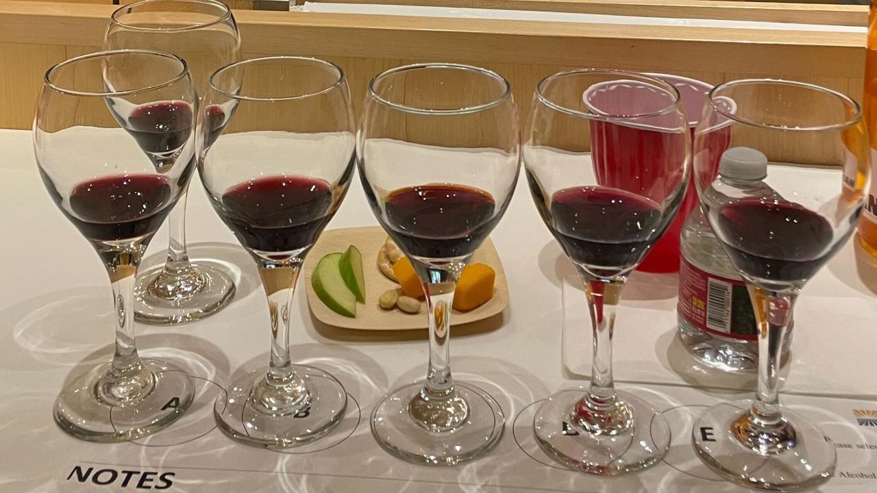 wine tasting glasses