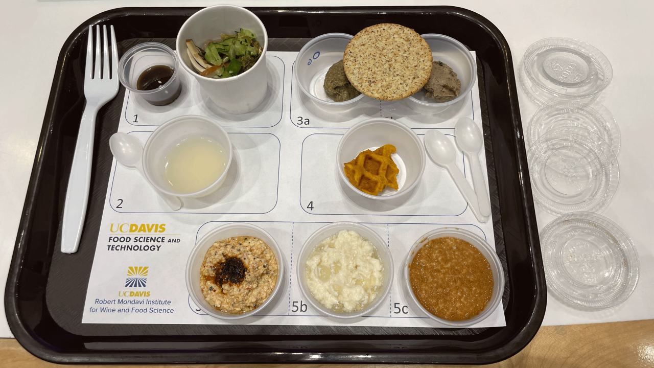tray filled with samples of each of the food products created by different teams of UC Davis food science students.