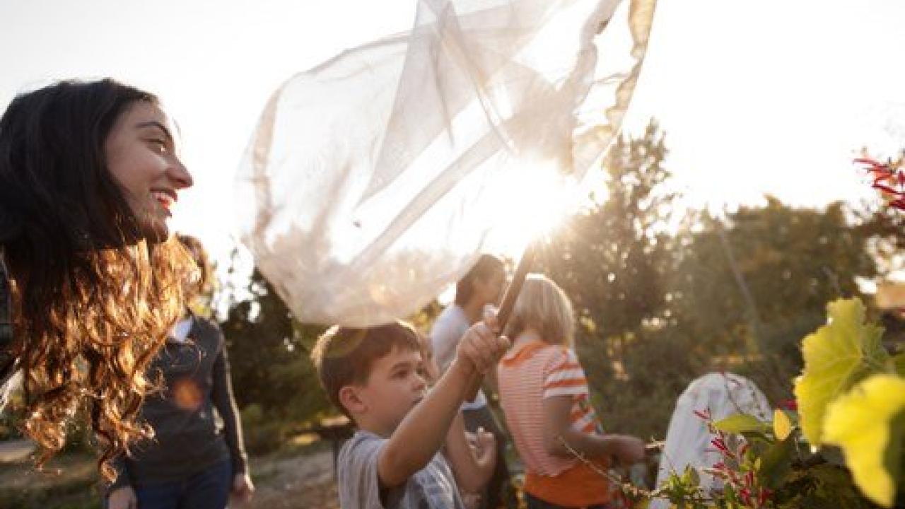 Kids with butterly net at the UC Davis Student Farm