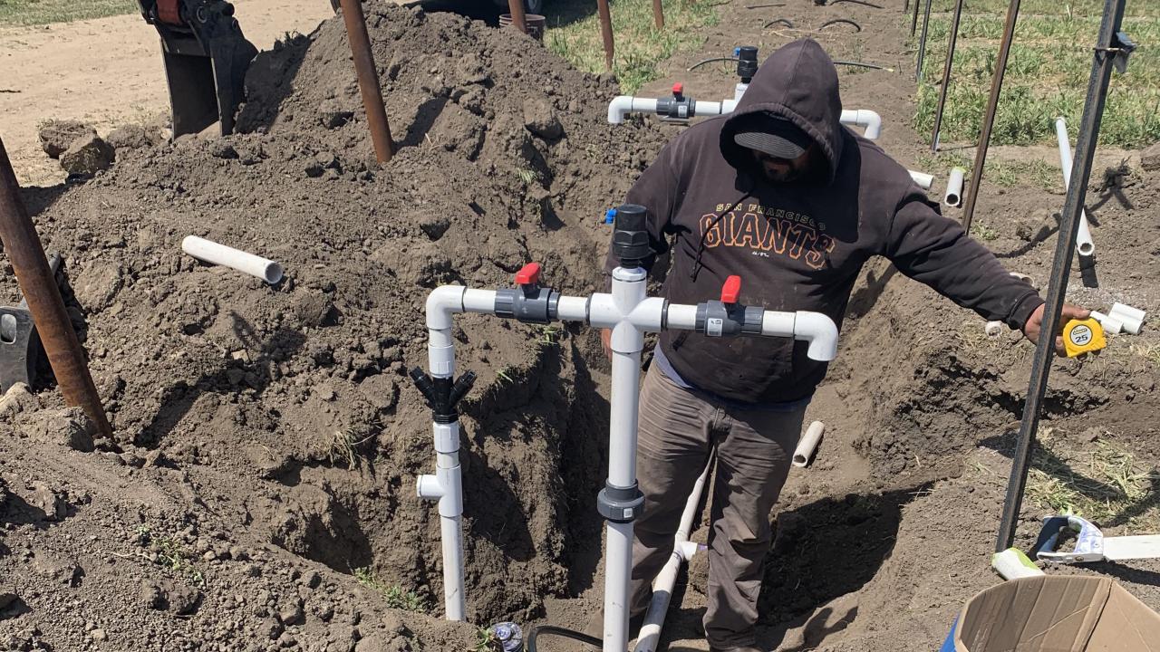 A drip irrigation system is installed at a new vineyard at the UC Davis Oakville Station. (Kaan Kurtural/UC Davis)