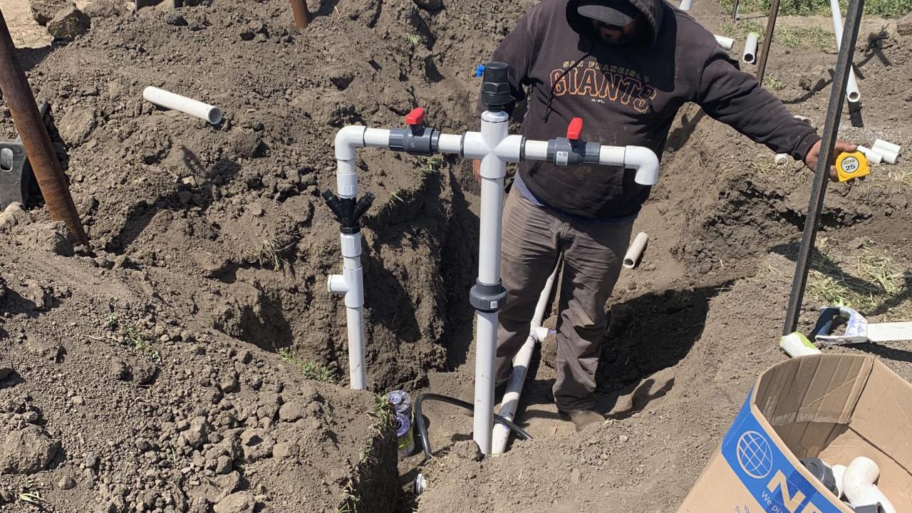 A drip irrigation system is installed at a new vineyard at the UC Davis Oakville Station. (Kaan Kurtural/UC Davis)
