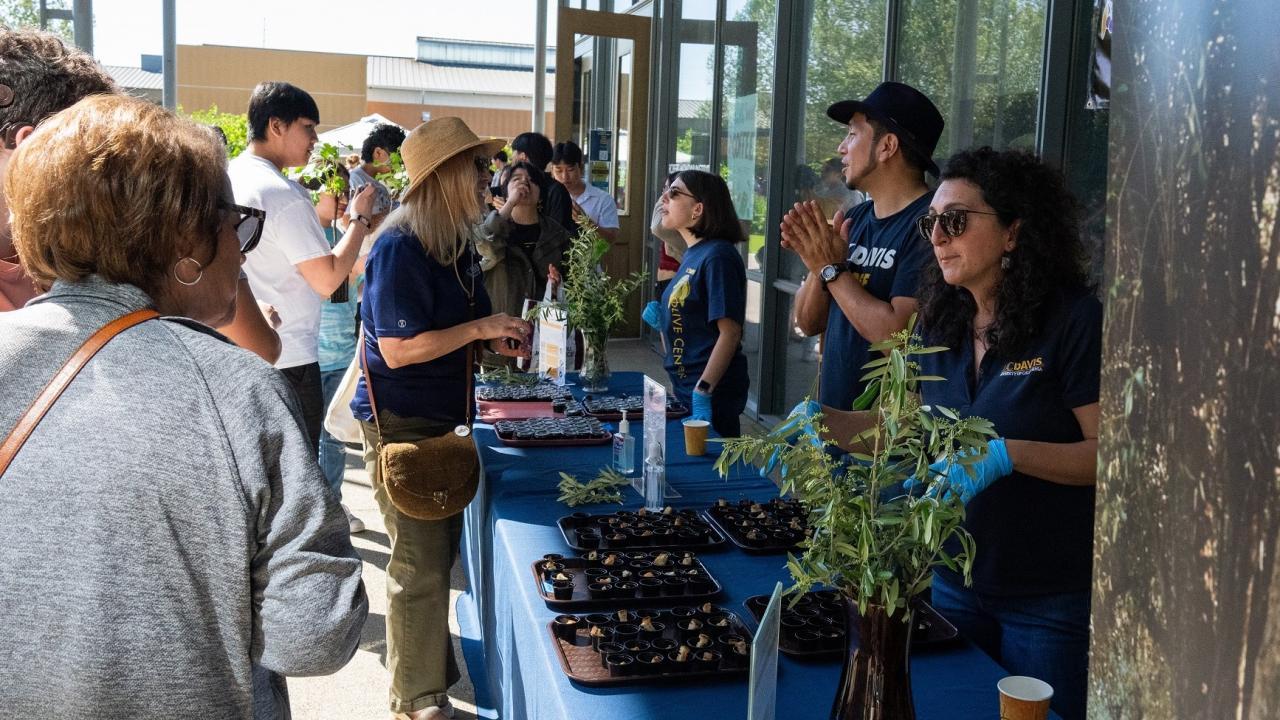 Olive Center with Picnic Day attendees
