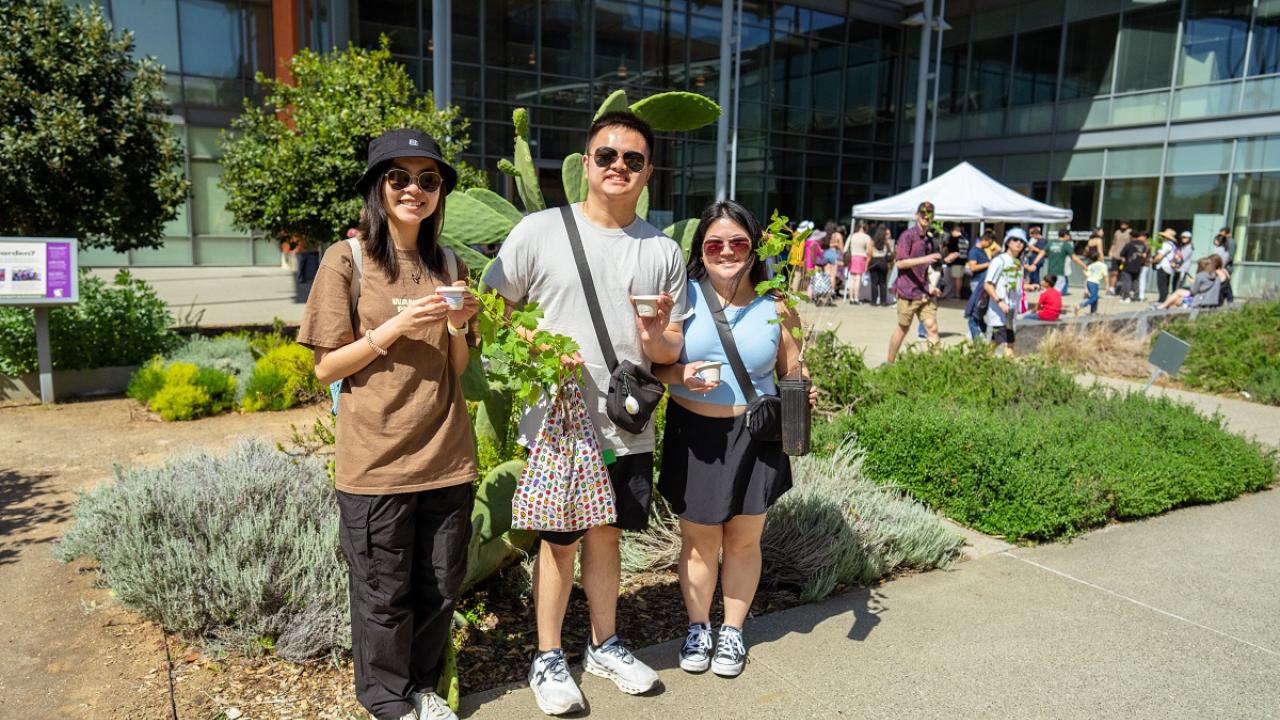 Three people with ice cream and grapevines at Picnic Day