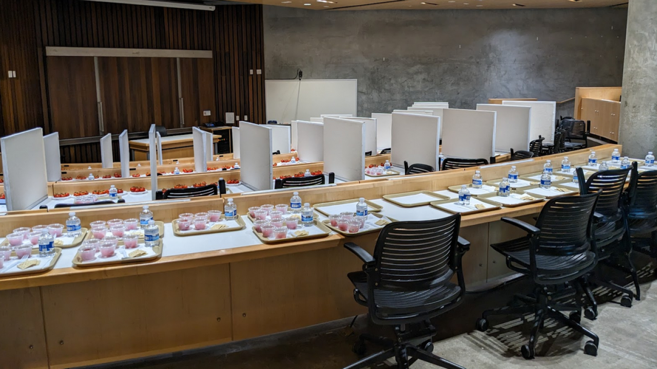 Sensory Theater tasting set up
