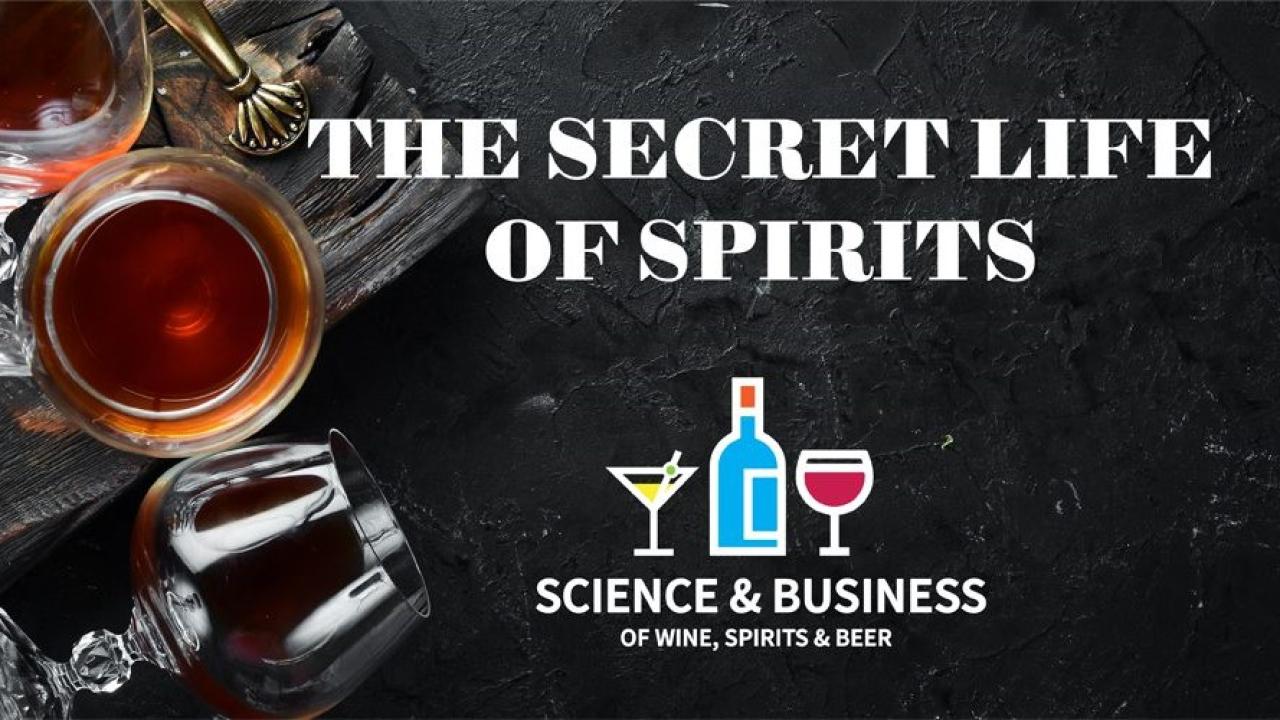 The Secret Life of Spirits log