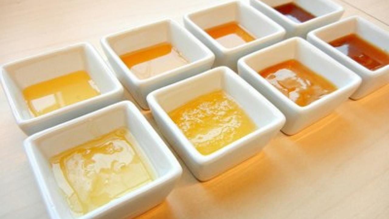 dishes of honey