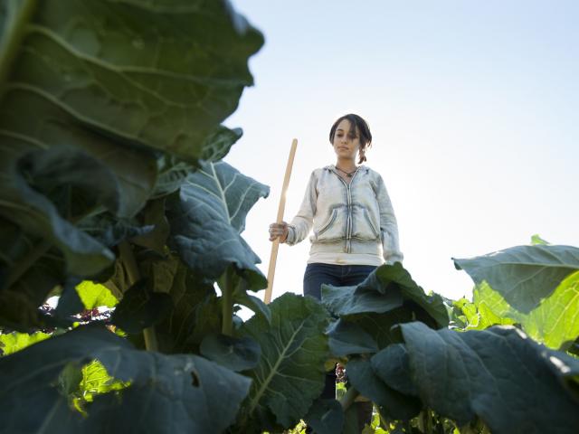 Student farm