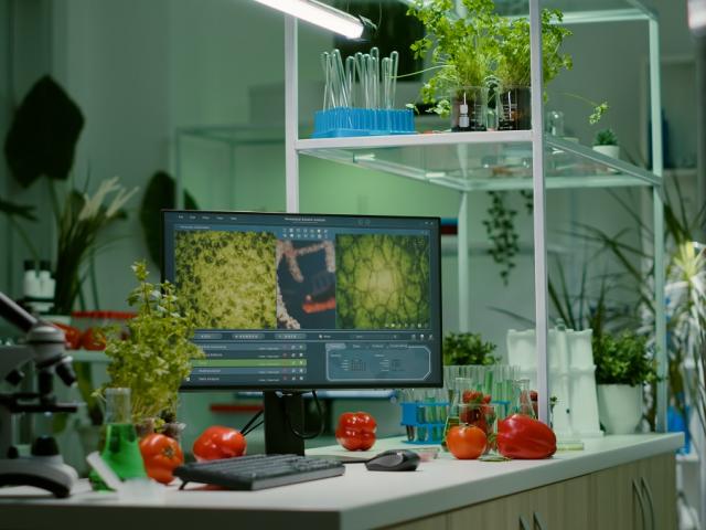Lab bench with microscope, monitor, vegetables and test tubes