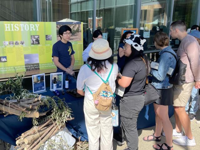 Olive Center at Picnic Day