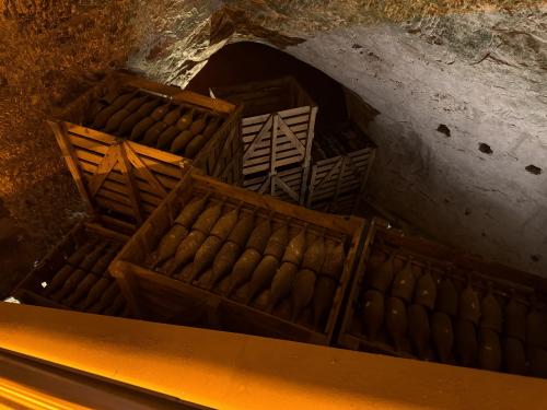 Old wine bottles in a cellar