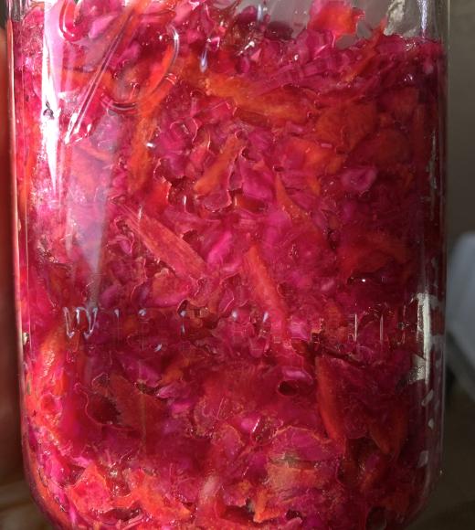 Researchers compared raw cabbage and sauerkraut to see how fermentation affects nutrients that support gut health. Photo by: Zoe Mitchell, UC Davis