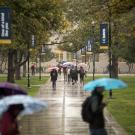 Students in the rain