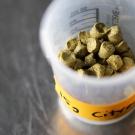 Citra hop pellets, which are commonly used to make IPA and American Pale Ale beer styles.