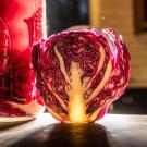 A new UC Davis study shows that having fermented food like sauerkraut could be good for gut health. Photo by: Hector Amezcua, UC Davis