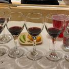 wine tasting glasses