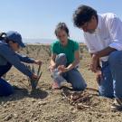 Juliana Osse de Souza, Paula Guzman-Delgado and Stuart Woolf in an agave field in Huron owned by Woolf. (Melissa Haworth / UC Davis)