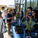 Olive Center with Picnic Day attendees