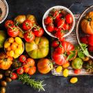 Assorted tomatoes