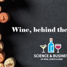 Wine: Behind the Curtain graphic