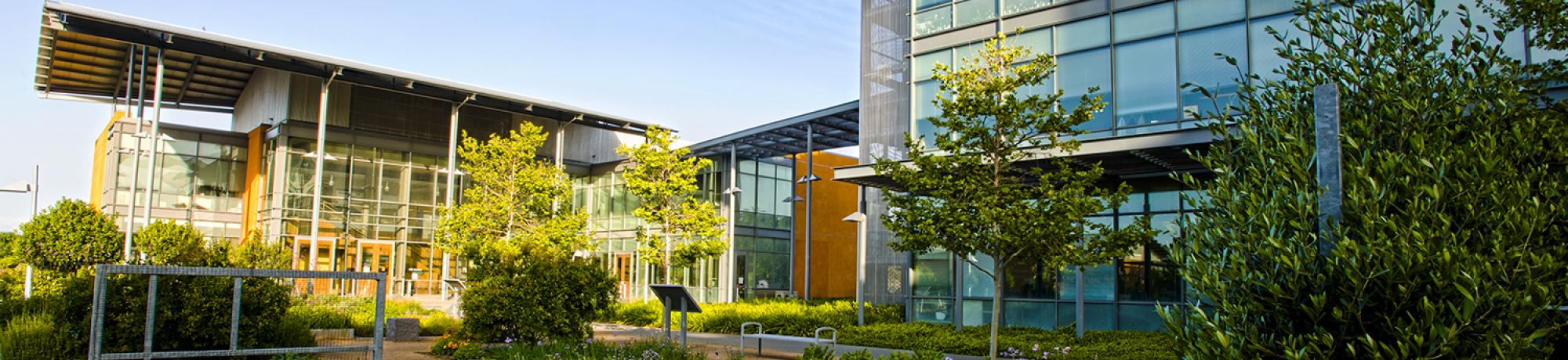 RMI complex